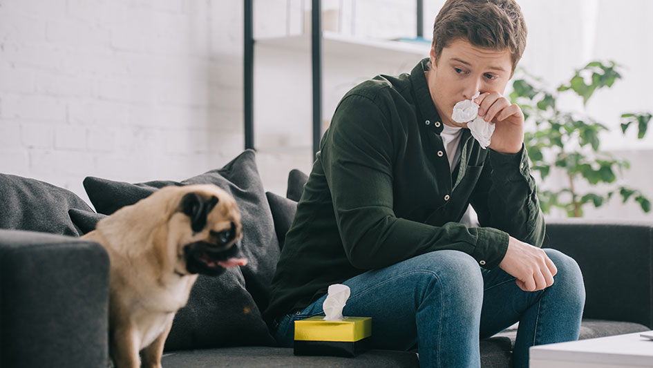 Purchasing an air purifier is one of the top ways to boost your house’s indoor air quality. Discover more about the three smartest products. 